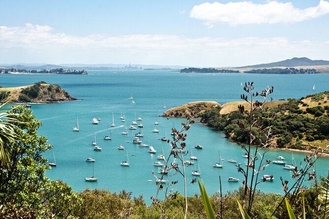 1.5h Waiheke Guided Scenic Tour in our Electric Van - Omiha Road and the sacred eels: a stop that adds surprise