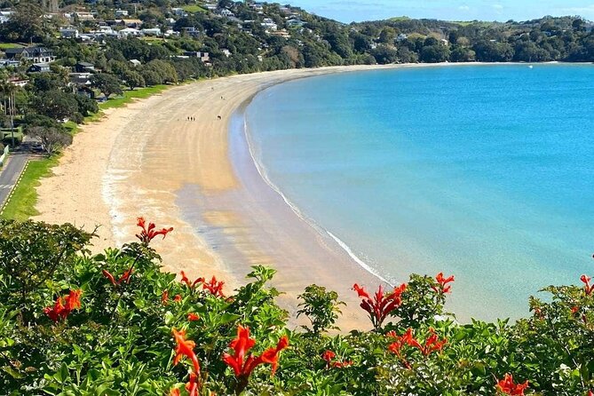 1.5h Waiheke Guided Scenic Tour in our Electric Van - The 1.5 hour flow: what the day really looks like