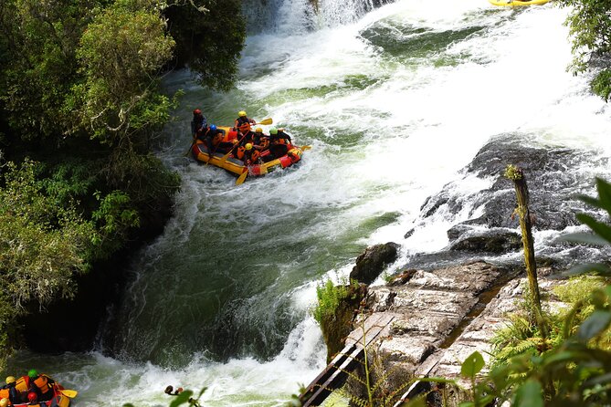 10 Day North to South Island NZ Private Tour from Auckland - Day 3 Rotorua: Te Puia geothermal power and Māori culture