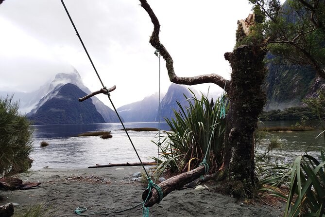 10 Day North to South Island NZ Private Tour from Auckland - Day 5 Kaikōura or Akaroa: whales and wildlife, or French charm and dolphins