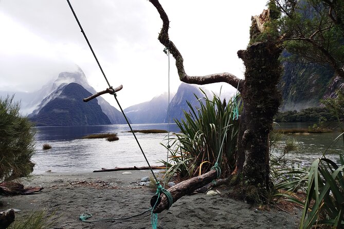 12 Day New Zealand Private Tour from Auckland to Queenstown - Day-by-day start in Auckland, then Hobbiton