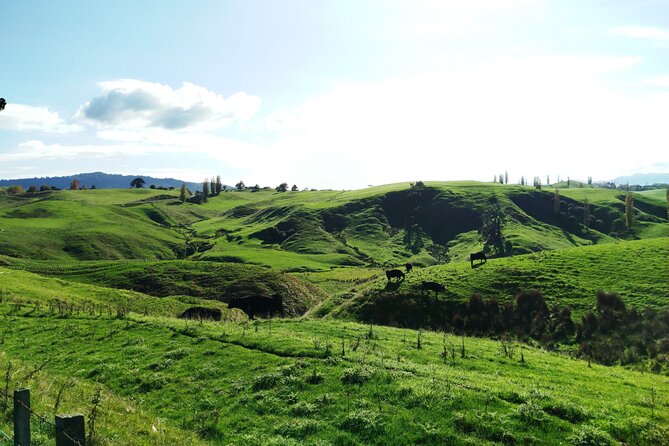 12 Day New Zealand Private Tour from Auckland to Queenstown - Mt Cook by helicopter, then Lindis Pass to Queenstown