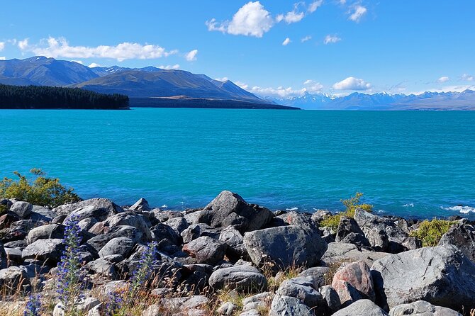 12 Day New Zealand Private Tour from Auckland to Queenstown - Queenstown with skyline thrills and optional Milford or Doubtful