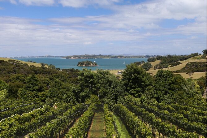 2.5 Hours Wine Tour in Waiheke Island for Cruise Ship Travelers - First Tastings at Postage Stamp Wines: What to Expect From Stop 2
