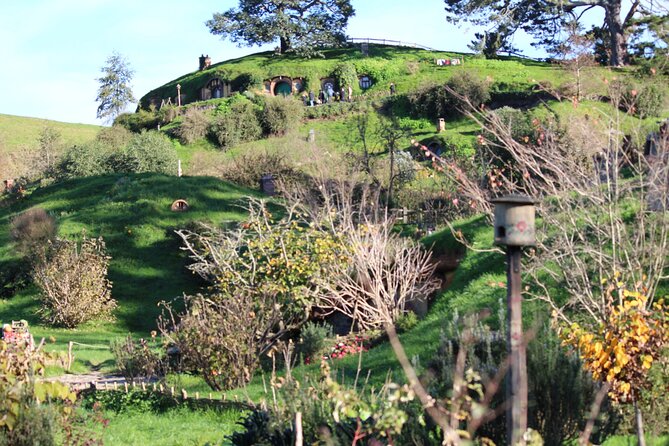 2-Day Hobbiton, Rotorua, Waitomo Caves Tour from Auckland with Accommodation - Pickup, Travel Time, and Why Morning Starts Matter