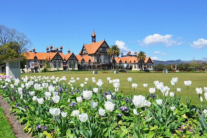 2 Day Tour Auckland to Hobbiton, Waitomo, Rotorua and Taupo - Waitomo Caves, stepping into ancient limestone with a guided plan