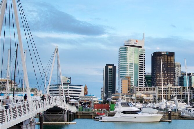 3.5 hour Sunset Tour on Waiheke Island - Batch Winery, the high view, and your dinner option