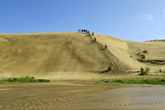 3 Day Bay Of Islands Tour from Auckland including Waitangi and Cape Reinga - The Coach, The Group Size, And Your Real Travel Time