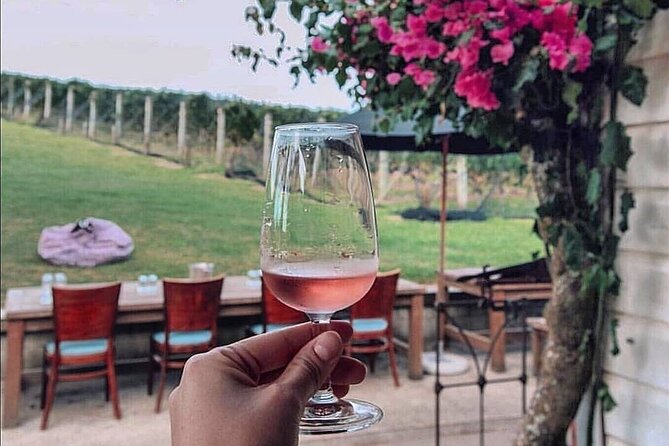 4.5-Hour Scenic Wine Tour with Private Guide & Up to 12 Tastings - Why Waiheke wine tours feel like a real escape from Auckland