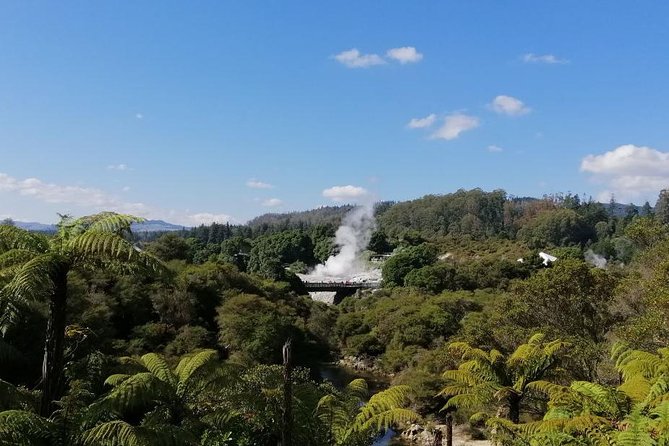 4-Day Auckland to Wellington via Rotorua Tour - Why this Auckland to Wellington route makes sense in 4 days