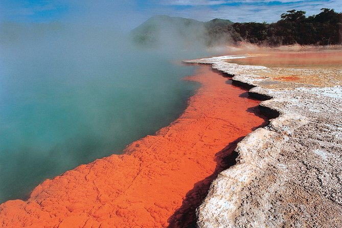 4-Day Auckland to Wellington via Rotorua Tour - Rotorua arrival and free time: your geothermal base camp