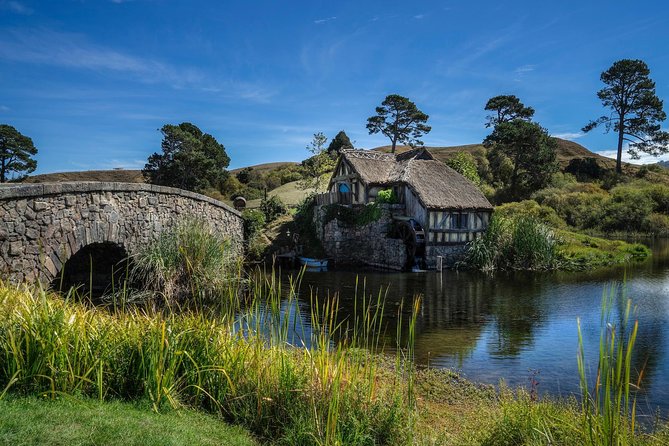 4-Day Auckland to Wellington via Rotorua Tour - Rotorua to Wellington by road: the long day you should plan around