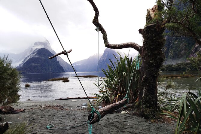4 Day Tour to Milford Sound, Mount Cook & More from Auckland - Day 2: Milford Sound cruise, then Queenstown gondola and jet-boat thrills