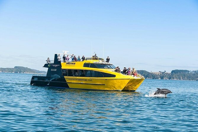 5-Day Bay of Islands, Auckland, Hobbiton, Rotorua & Waitomo Tour - Key takeaways before you go
