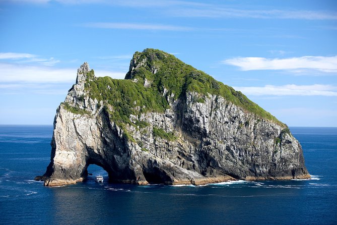 5-Day Bay of Islands, Auckland, Hobbiton, Rotorua & Waitomo Tour - Price and what you actually get for $1,362.16