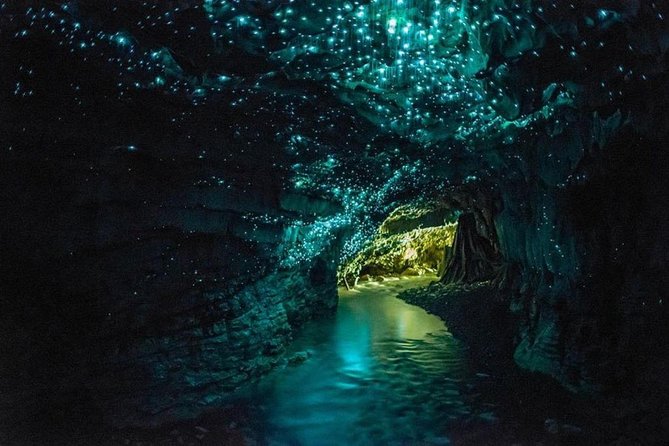 5-Day New Zealand North and South Island Highlights Tour - Key points I’d flag before you book