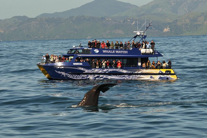 5-Day New Zealand North and South Island Highlights Tour - Interislander Cook Strait ferry and the Coastal Pacific train to Kaikoura