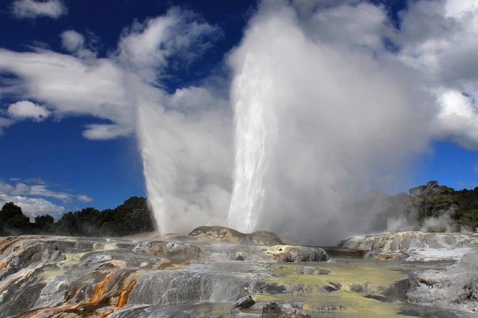 5-Day New Zealand North and South Island Highlights Tour - Price and value check for $1,364.64 per person