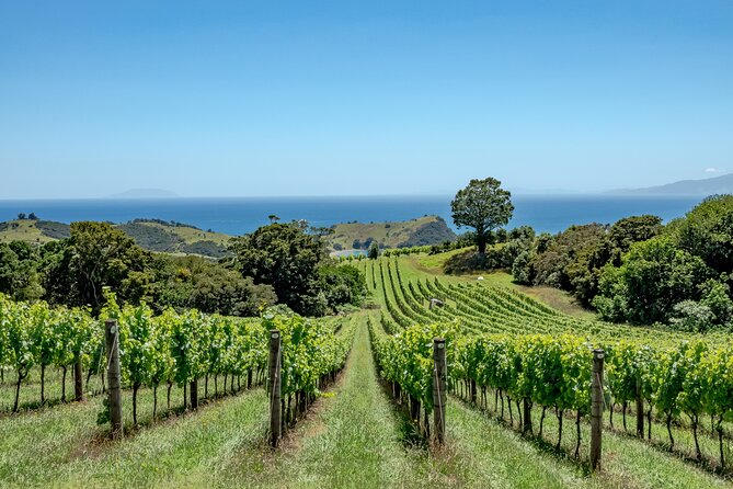 5 or 7 hour Far End of Waiheke Scenic Wine Tour in Electric Vans - Stop-by-Stop: What You Get at Each Waiheke Moment