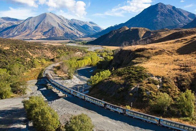 6 Day South Island New Zealand Private Tour from Auckland - Day 4 Queenstown Gardens, Skyline gondola, luge, and jet boating
