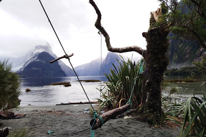 6 Day South Island New Zealand Private Tour from Auckland - Day 5 Fiordland full-day cruise days: Milford Sound or Doubtful Sound