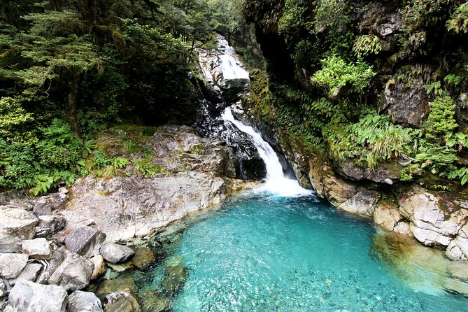 6 Day South Island New Zealand Private Tour from Auckland - Optional tickets, swaps, and weather reality