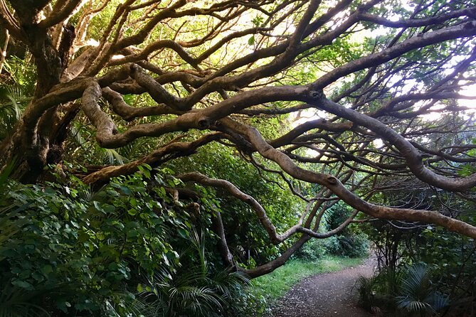 6 Hours Sightseeing Tour in Auckland - Key highlights you will actually feel