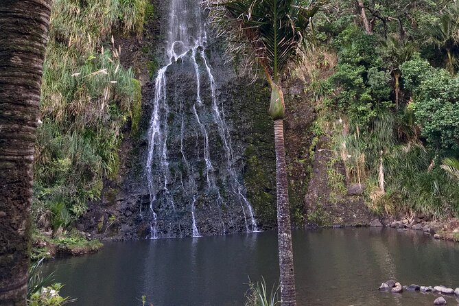 6 Hours Sightseeing Tour in Auckland - Price and value: what $179.97 buys for your time