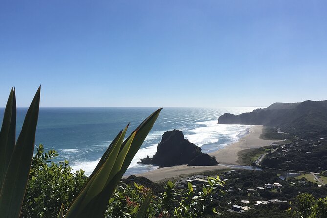 6 Hours Sightseeing Tour in Auckland - Getting there: pickup, private van comfort, and the small-group pace
