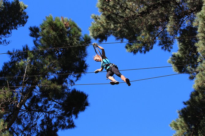 Adrenalin Forest Auckland - Key things to know before you go