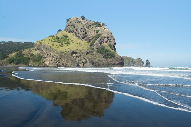 Afternoon Piha Beach and Rainforest Tour from Auckland - Afternoon tea with manuka honey: why the break is part of the tour