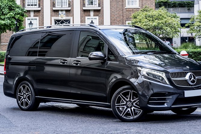 Arrival Transfer: Auckland Airport to Auckland Central City Centre - Who This Transfer Fits Best In Auckland