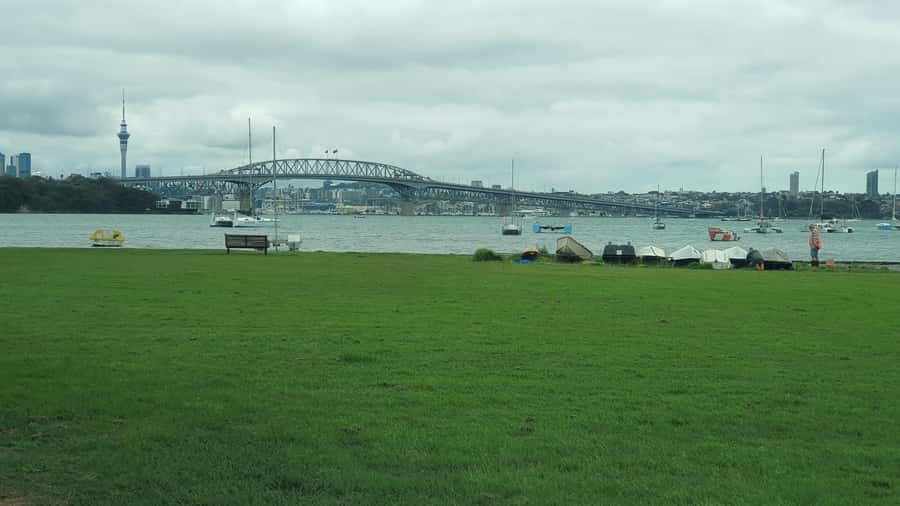 Auckland: Auckland City Tour 4 hours private - Getting Your Bearings in Auckland CBD, Pickup to First View