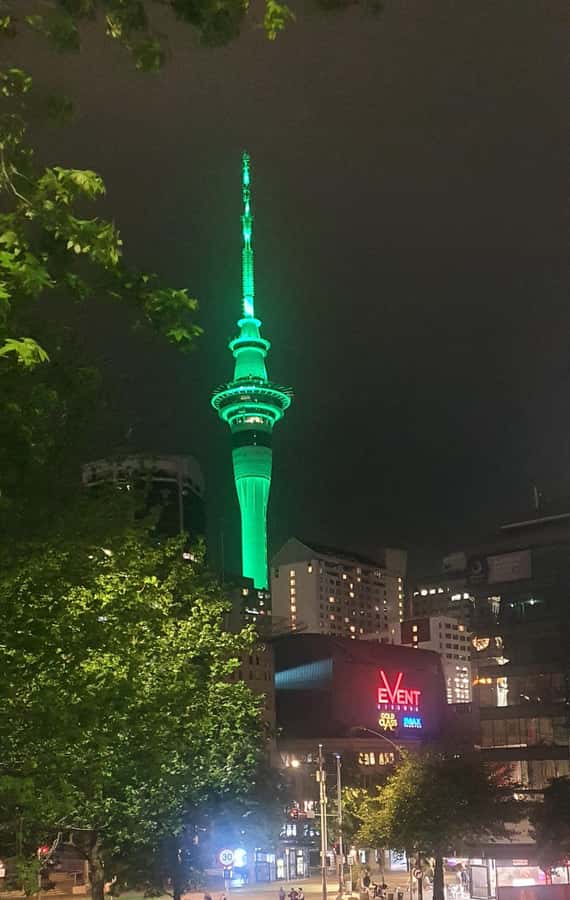 Auckland: Auckland City Tour 4 hours private - Auckland Domain and the War Memorial Museum Stop