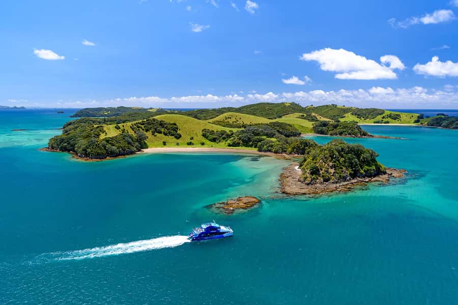 Auckland: Bay of Islands Day Tour with Dolphin Cruise - Auckland to Paihia by minibus, with Harbour Bridge storytelling