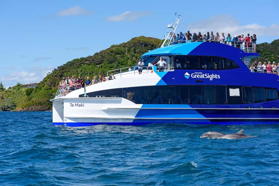 Auckland: Bay of Islands Day Tour with Dolphin Cruise - Price and value: how $283 fits what you get