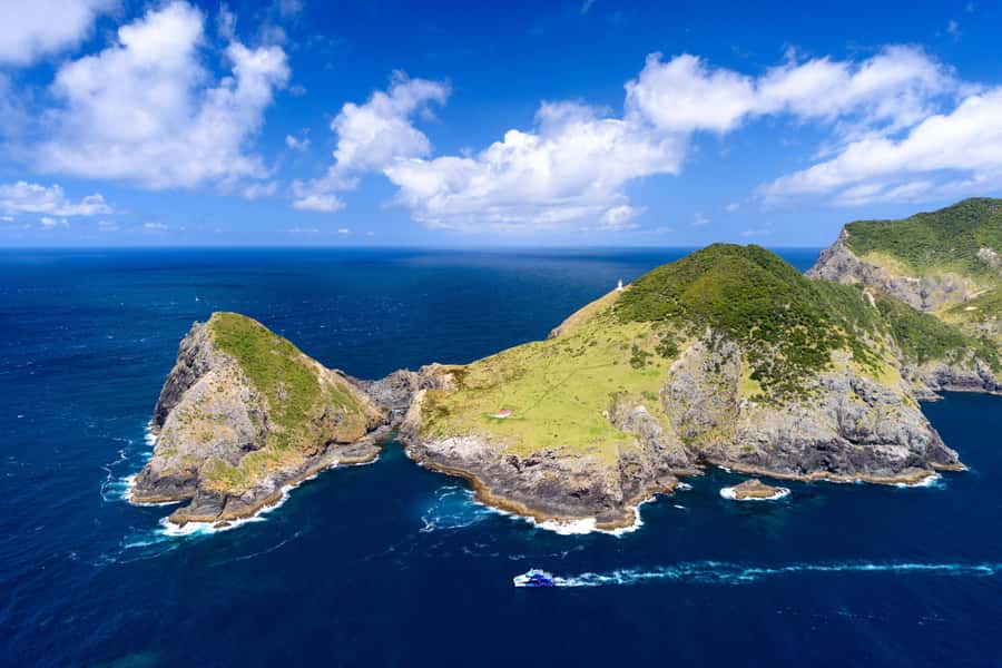 Auckland: Bay of Islands Day Tour with Dolphin Cruise - Should you book this Auckland Bay of Islands dolphin cruise?