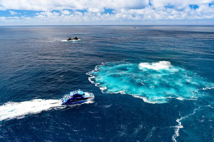 Auckland: Bay of Islands Day Tour with Dolphin Cruise - FAQ