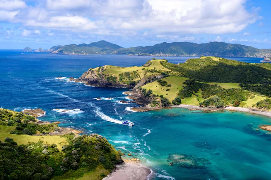 Auckland: Bay of Islands Day Tour with Dolphin Cruise - Sailing the Bay of Islands on a purpose-built catamaran