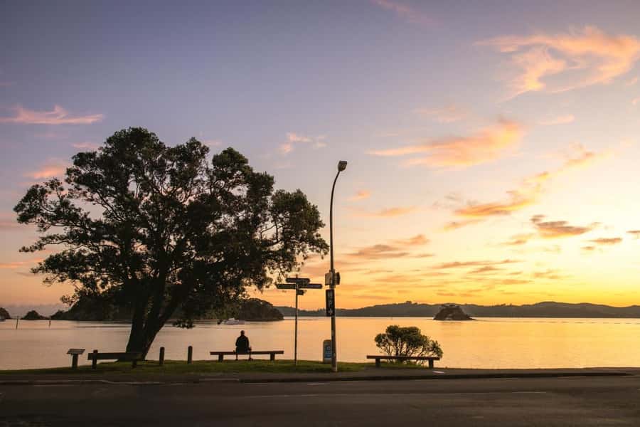 Auckland: Bay of Islands Tour & Cruise 2Day Small Group Tour - Two days that feel like a real Northland sampler