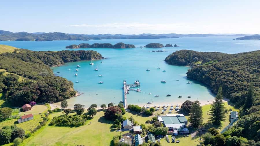 Auckland: Bay of Islands Tour & Cruise 2Day Small Group Tour - Kauri Museum: the kauri story before you walk among them