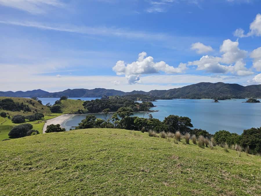 Auckland: Bay of Islands Tour & Cruise 2Day Small Group Tour - Opononi Beach lunch with Hokianga Harbour views