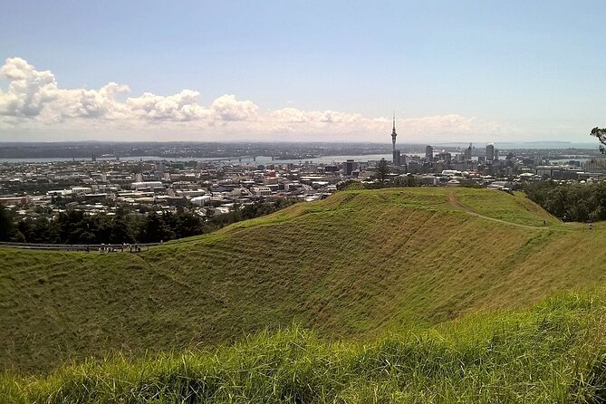 Auckland Best Top 5 Spots Half day Tour - Key Points That Matter Before You Go