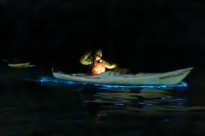 Auckland Bioluminescence Kayak Tour - Key things to know before you go