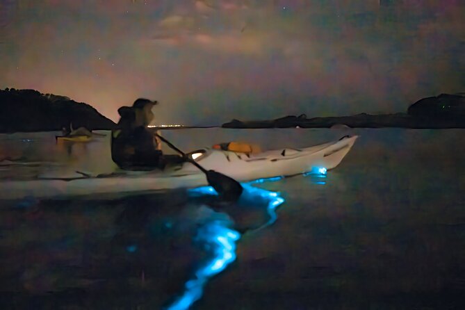 Auckland Bioluminescence Kayak Tour - Auckland bioluminescence, or why the ocean turns into starlight