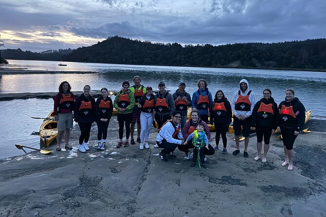Auckland Bioluminescence Kayak Tour - Safety and comfort you actually feel on night water