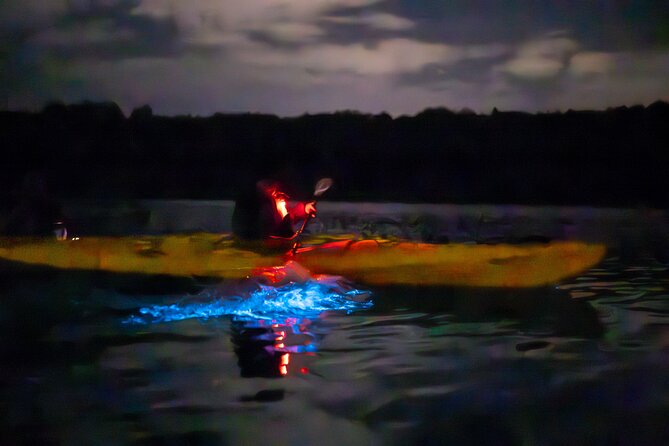 Auckland Bioluminescence Kayak Tour - Photos in blue light: how to get images you’ll actually keep