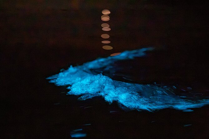 Auckland Bioluminescence Kayak Tour - Stars, stargazing moments, and those quiet night vibes