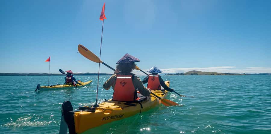 Auckland: Browns Island (Motukorea) Sea Kayak Tour - Key points to know before you go