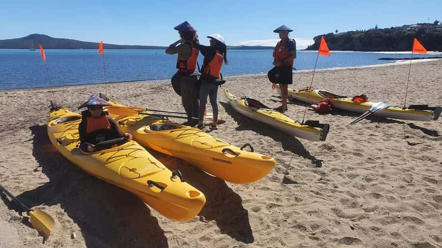 Auckland: Browns Island (Motukorea) Sea Kayak Tour - Should you book the Auckland Browns Island (Motukorea) sea kayak tour?